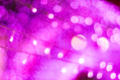 Defocused image of illuminated lights