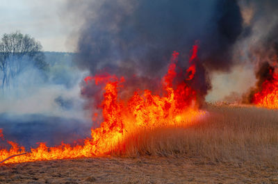 Panoramic view of fire on land