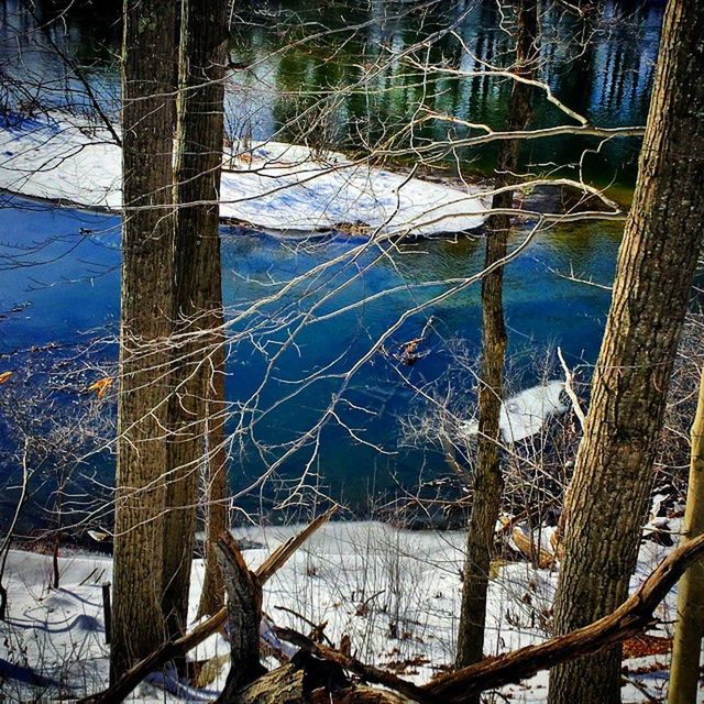 water, bare tree, reflection, lake, tranquility, tree, branch, nature, tranquil scene, beauty in nature, tree trunk, scenics, winter, river, outdoors, no people, day, cold temperature, snow, waterfront