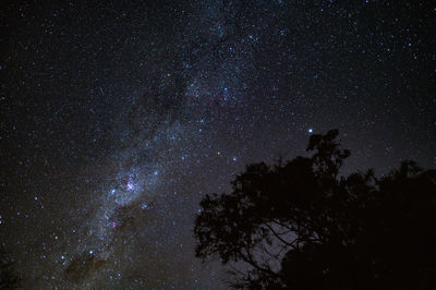 Low angle view of silhouette trees against sky at night