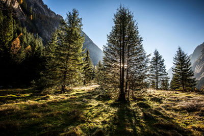 Mountain landscape in autumn at sunset val di mello val masino italy