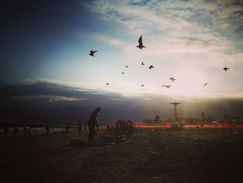 Silhouette birds flying over beach against sky during sunset