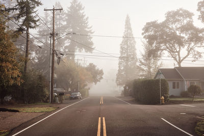 Empty road along trees and plants against sky