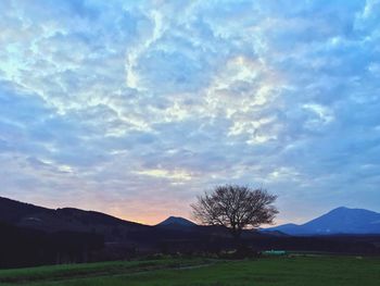 Scenic view of landscape against cloudy sky