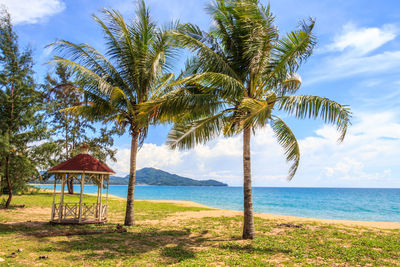 Coconut palm trees on beach against sky