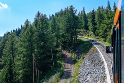 Panoramic view of train passing through forest