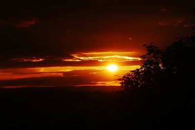 Silhouette trees against sky during sunset