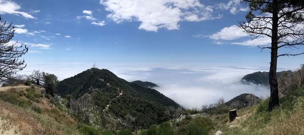 Above the clouds in mount wilson