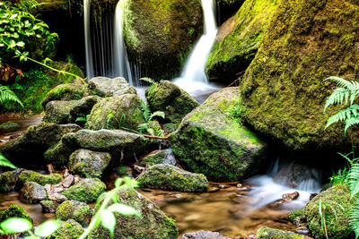 View of waterfall in forest