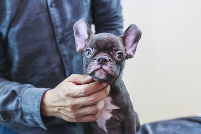 Midsection of man stroking puppy