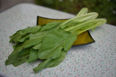 High angle view of green leaves on table