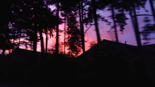 Silhouette trees in forest against sky at sunset