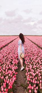 Woman standing by pink flowering plants against sky