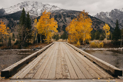 Scenic view of trees by mountains during autumn