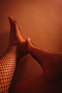 human leg