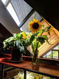 Flower vase on table by window at home