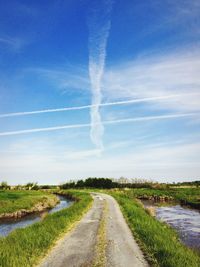 Road amidst plants against blue sky