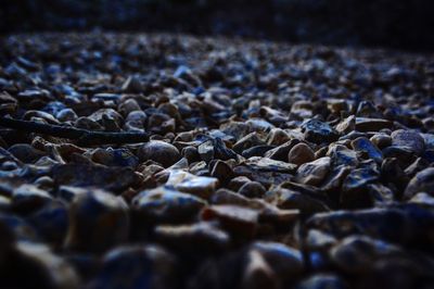 Surface level of pebbles