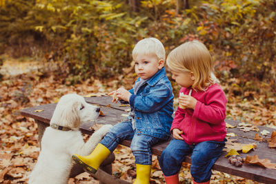 Cute kids sitting on bench at park during autumn