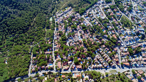 High angle view of trees in town
