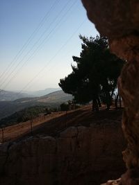 View of trees on mountain