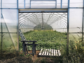 View of fence against plants