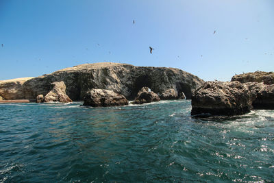 Ballestas islands, paracas, national reserve park