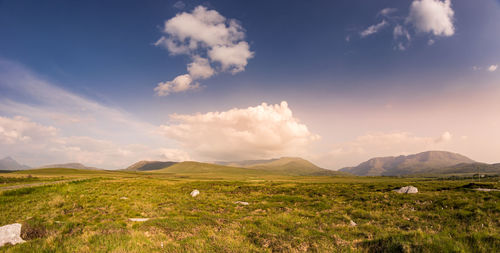 Scenic view of field against sky