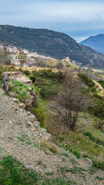 mountain