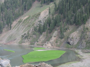 Scenic view of river