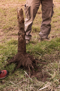 Low section of man standing on field