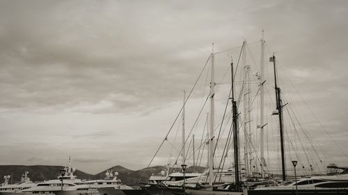 Sailboats moored at harbor