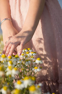 Midsection of woman hand on yellow flowering plant