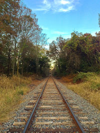 Railroad tracks