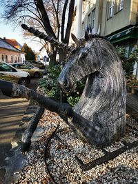 View of an animal sculpture on tree trunk