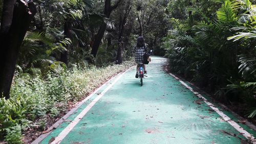 Rear view of young woman riding bicycle on footpath amidst plants in park