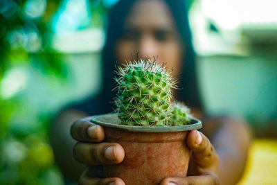 Close-up of hand holding cactus plant