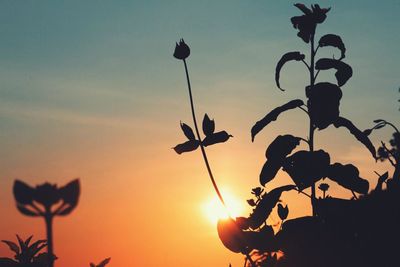 Low angle view of plants against sky at sunset