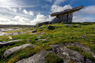 Poulnabrone dolmen tomb, burren, co.clare, ireland.