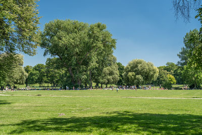 Trees in park against sky