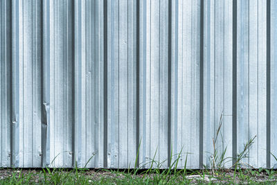 Plants growing on field by fence