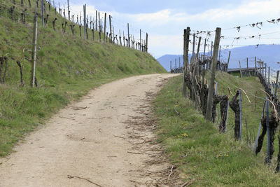 Dirt road amidst plants against sky