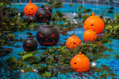 Multi colored pumpkins halloween decorations in pool