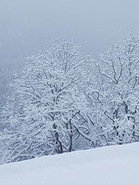 Scenic view of snow covered landscape