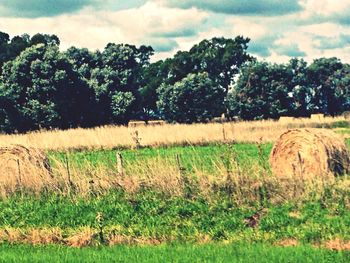 Scenic view of grassy field against cloudy sky