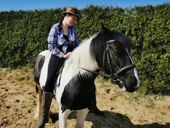 View of horse on a field