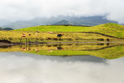  scenic view of lake against sky