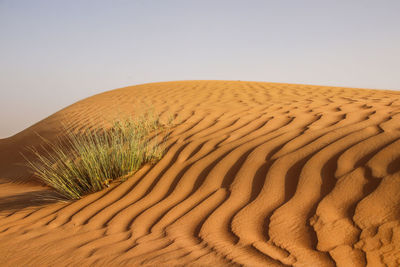 Scenic view of desert against clear sky