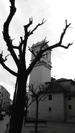 Low angle view of statue on tree against sky