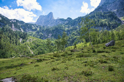 Scenic view of landscape against sky